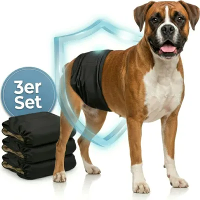 Produktbild von HUND IST KÖNIG Hundewindeln für Rüden [3 Stk], L (Taille 50-59 cm) - saugstarke Hundewindeln bei Inkontinenz, umweltfreundliche Rüdenwindel waschbar