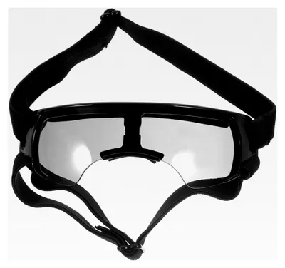Produktbild von Hundebrille für mittelgroße bis große Hunde mit UV-Schutz und verstellbarem Band, winddicht für den Außenbereich