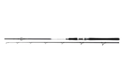 Produktbild von Daiwa Steckrute Grandwave 2.40m 150-300g