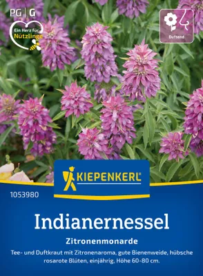 Artikelbild 2 von 'Indianernessel Zitronenmonarde' aus der Kategorie Kräutersamen
