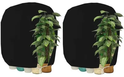 Productafbeelding van Winterbeschermhoes voor planten met rits, 120 x 180 cm, zwart, 2 stuks