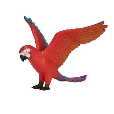 Image de Animal Planet perroquet