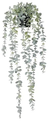 Obrázek produktu pro Visači rostlina v květináči 60 cm