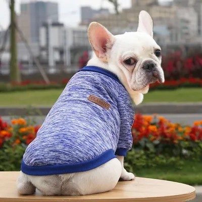 Produktbild von Sweatshirt für Hund - Marineblau L