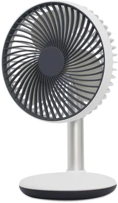 A white and gray desk fan on a white background.