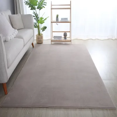 A living room scene with a sofa, a plant, a shelf, and a large rug.