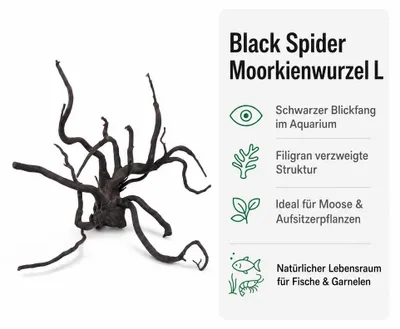 Produktbild von Black Spider Wurzel L 35-50 cm