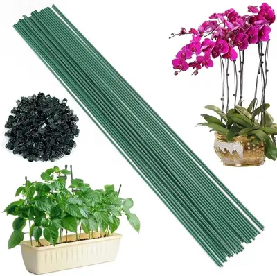 Obrázok produktu pre Podpery na rastliny, 30 cm, 20 kusov s klipmi, vhodné pre záhradné rastliny