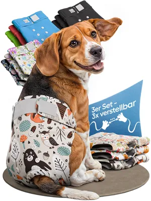 Produktbild von HUND IST KÖNIG Windeln für Hündinnen [3 Stk], S (Taille 29-40 cm), saugstarke Windeln, 3-Fach justierbar für festen Sitz bei Läufigkeit & Inkontinenz