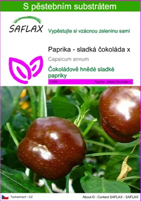Obrázek produktu pro SAFLAX - Paprika - sladká čokoláda x - Capsicum annum - 10 Semena - S pěstebním substrátem bez klíčků