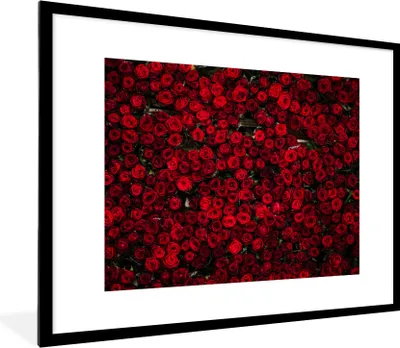 Produktbild von MuchoWow® Gerahmtes Poster Blumen - Rosen - Rot 80x60 cm - Poster mit Schwarzem Bilderrahmen Wandposter Rahmen Foto Bilder - Schlafzimmer-Dekorationen - Fotoposter
