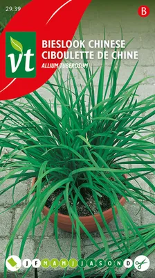 Obrázok produktu pre Čínska pažítka - semienka - cca 0,75 gr | VT_2939