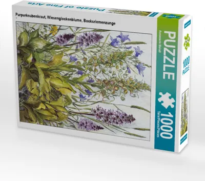 Produktbild von CALVENDO Puzzle Purpurknabenkraut, Wiesenglockenblume, Bocksriemenzunge | 1000 Teile Lege-Größe 64x48cm Foto-Puzzle für glückliche Stunden