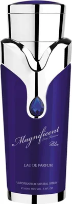 Obrázok produktu pre Armaf Magnificent Blue Pour Homme parfumovaná voda pre mužov 100 ml