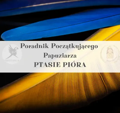 Zdjęcie produktu dla Poradnik ParrotPlanet - Poradnik Początkującego  Papuziarza - Papuzie Pióra - czyli prawda w piórze zawarta