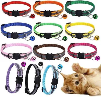 Produktbild von Reflektierbares Haustiergurtel-Set mit 10 Stücken in verschiedenen Farben für Katzen, Hunde und kleine Tiere.