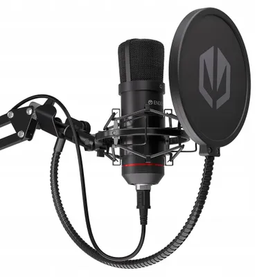 Image de Microphone PC ENDORFY Solum Noir