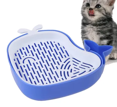Productafbeelding van Kattengras Plantenbak voor Gezonde Katten