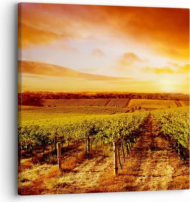 Produktbild von Bild auf Leinwand - Leinwandbild - Weinberg Aussicht Landschaft - 30x30cm - Wand Bild - Wanddeko - Leinwanddruck - Bilder - Kunstdruck - Wanddekoration - Leinwand bilder - Wandkunst - AC30x30-0170