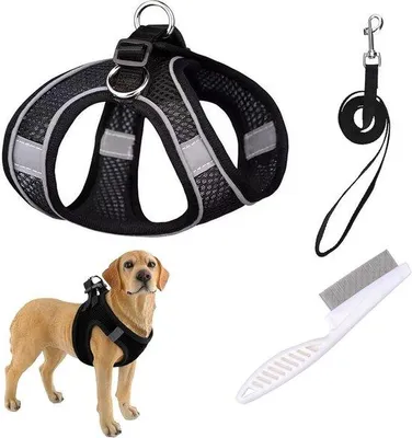 Produktbild von Famanu Sicherheitsweste für kleine Hunde mit reflektierendem und atmungsaktivem Mesh-Design