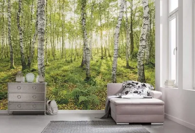 Immagine prodotto di Carta da parati in tessuto non tessuto Komar - Alberi di betulla - dimensioni: 400 x 250 cm (larghezza x altezza) - 4 pannelli, soggiorno, camera da letto, carta da parati