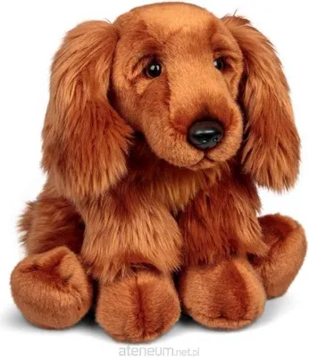 Immagine prodotto di Cocker Spaniel di peluche