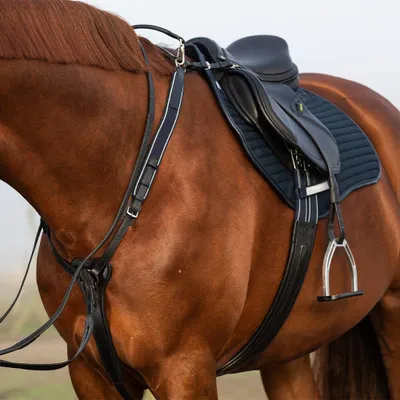 Obrázok produktu pre Postroj Horseware Micklem s podbradníkom – veľkosť: poník – farba: čierna