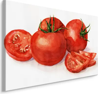Produktbild von Fabelhafte Canvas LEINWAND BILDER 40x30 cm XXL Kunstdruck Gemüse Tomaten Aquarell