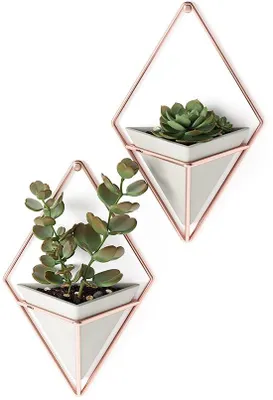 Produktbild von Unyqoos® Geometrische Wandvase in Kupfer – Metall & Beton, Wandvase für Zimmerpflanzen, Sukkulenten, Luftpflanzen & Kunstpflanzen, inkl. Montagematerial