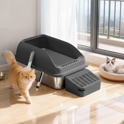 Produktbild von FEANDREA Katzenklo, Katzentoilette, mit hohen Seitenwänden, geräumig, Schaufel, Bürste, schwarz
