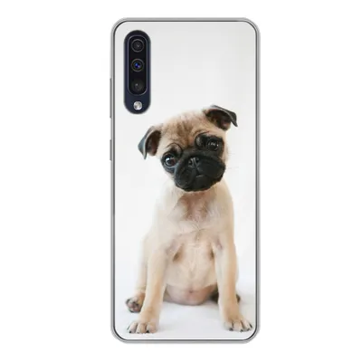 Produktbild von MuchoWow® Handyhülle Schutzhülle Hülle für Samsung Galaxy A50 Hund - Haustiere - Porträt Silikon Softcase Handy Hülle - Mobiltelefonhülle