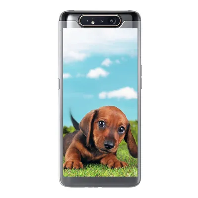 Produktbild von MuchoWow® Handyhülle Schutzhülle Hülle für Samsung Galaxy A80 Schöner Himmel über einem niedlichen Dackelwelpen Silikon Softcase Handy Hülle - Schutzdeckel