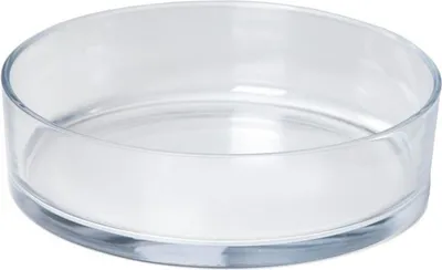 Produktbild von INNA-Glas Glasschale VERA OCEAN, transparent, 8cm, Ø29cm - Obstschale