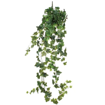 Image de Mica Decorations Plante artificielle Hedera - 129x1x129 cm - Polyester - Vert