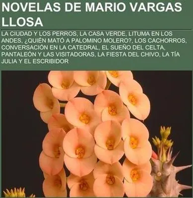 Produktbild von Novelas de Mario Vargas Llosa