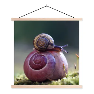 Produktbild von MuchoWow® Textilposter Schnecken - Gras - Frühling 120x120 cm mit holzfarbenen Rahmen - Textil-Poster