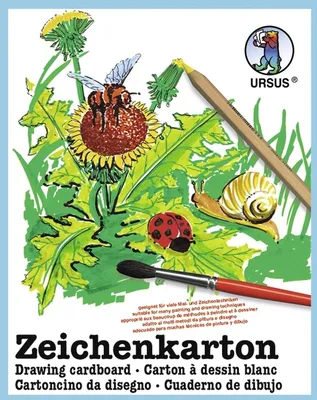 Produktbild von Zeichenkarton 250g/qm A4 VE=25 Bogen