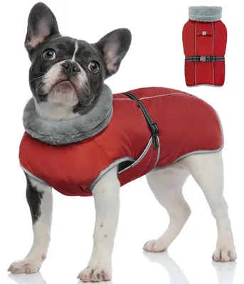 Immagine prodotto di Giacca invernale per cani, impermeabile, riflettente, antivento, regolabile, colore rosso, taglia M