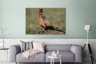 Obrázek produktu pro OneMillionCanvasses® - Obrazy na plátně - 140x90 cm, Bažant - Jídlo - Pták, Nástěnné umění tisk Nástěnná dekorace - Fotografie na plátně - Obraz na dřevěném rámu