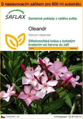 Obrázek produktu pro SAFLAX Garden in the bag - oleandr - Nerium oleander - 50 Semena - S pěstebním substrátem v praktickém samovztyčovacím sáčku