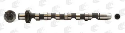 Produktbild von AE CAM700 Nockenwelle für Zylinder 1-3 Einlass für VW PASSAT Variant (3B6) für AUDI A4 Avant (8E5, B6) A4 Limousine (8D2, B5) A4 Avant (8D5, B5)