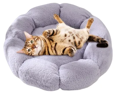 Produktbild von Weiches, plüschiges Katzenhaus für Komfort und Sicherheit