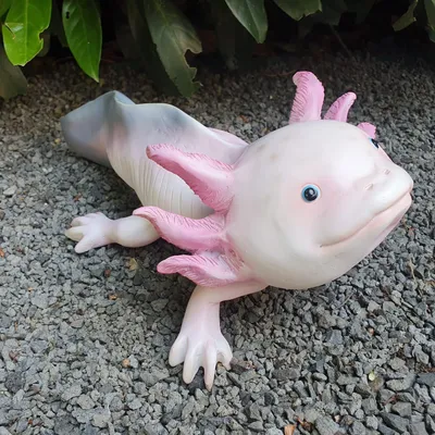 Produktbild von Gartenfigur Axolotl Figur rosa 28 cm lang Kunstharz – hellblaue Augenringe