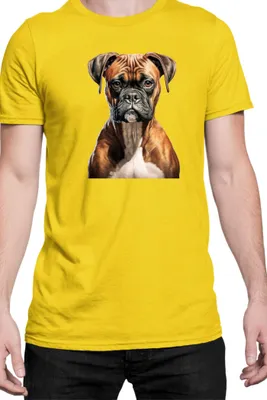 Zdjęcie produktu dla Męska Koszulka Dogs Breeds Boxer Dog Breed 005, Man S / Żółty