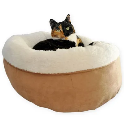 Produktbild von All for Paws Donut Kuschelbett für Katzen