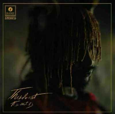 Immagine prodotto di Thundercat - It Is What It Is (LP)