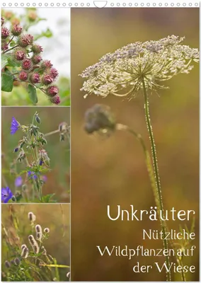 Immagine prodotto di Erbacce - Piante selvatiche utili nei prati (calendario da parete 2026 DIN A3 verticale), CALVENDO Calendario mensile