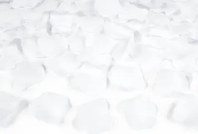 Produktbild von 100x Rosenblätter im Beutel, weiß
