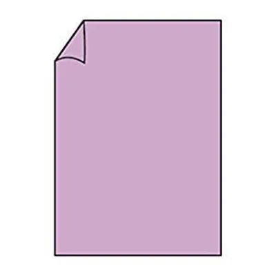 Zdjęcie produktu dla Papeteria Paperado DIN A4 220 Orchid