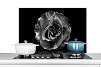 Obrázok produktu pre MuchoWow® Splashback Kuchyňa - Kuchynský backsplash - Ochrana steny pre sporák a drez Kvety - Ruža - čierna - biela - botanické 90x60cm Alu-Dibond